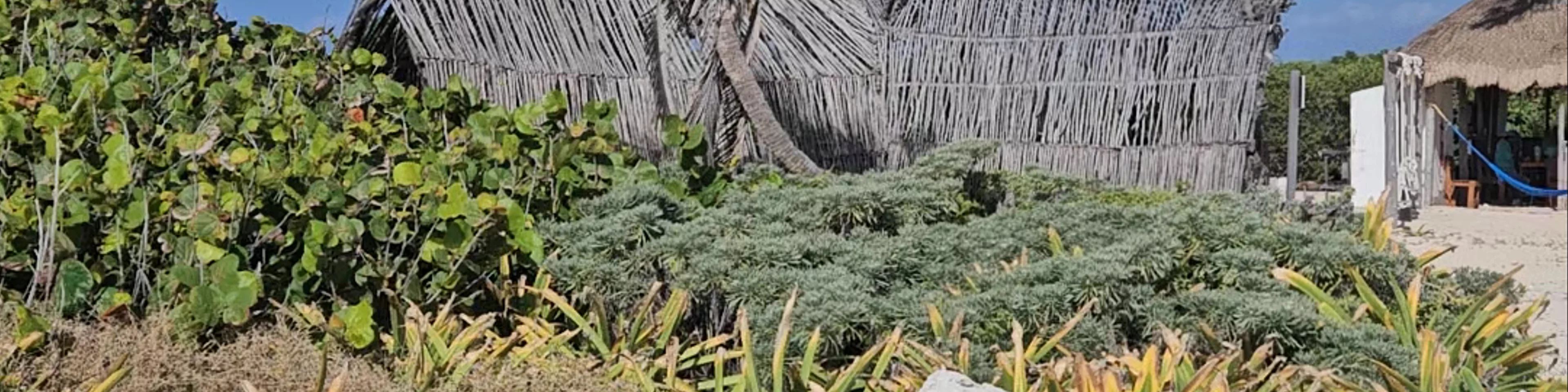 Punta Sur Eco Beach Park
