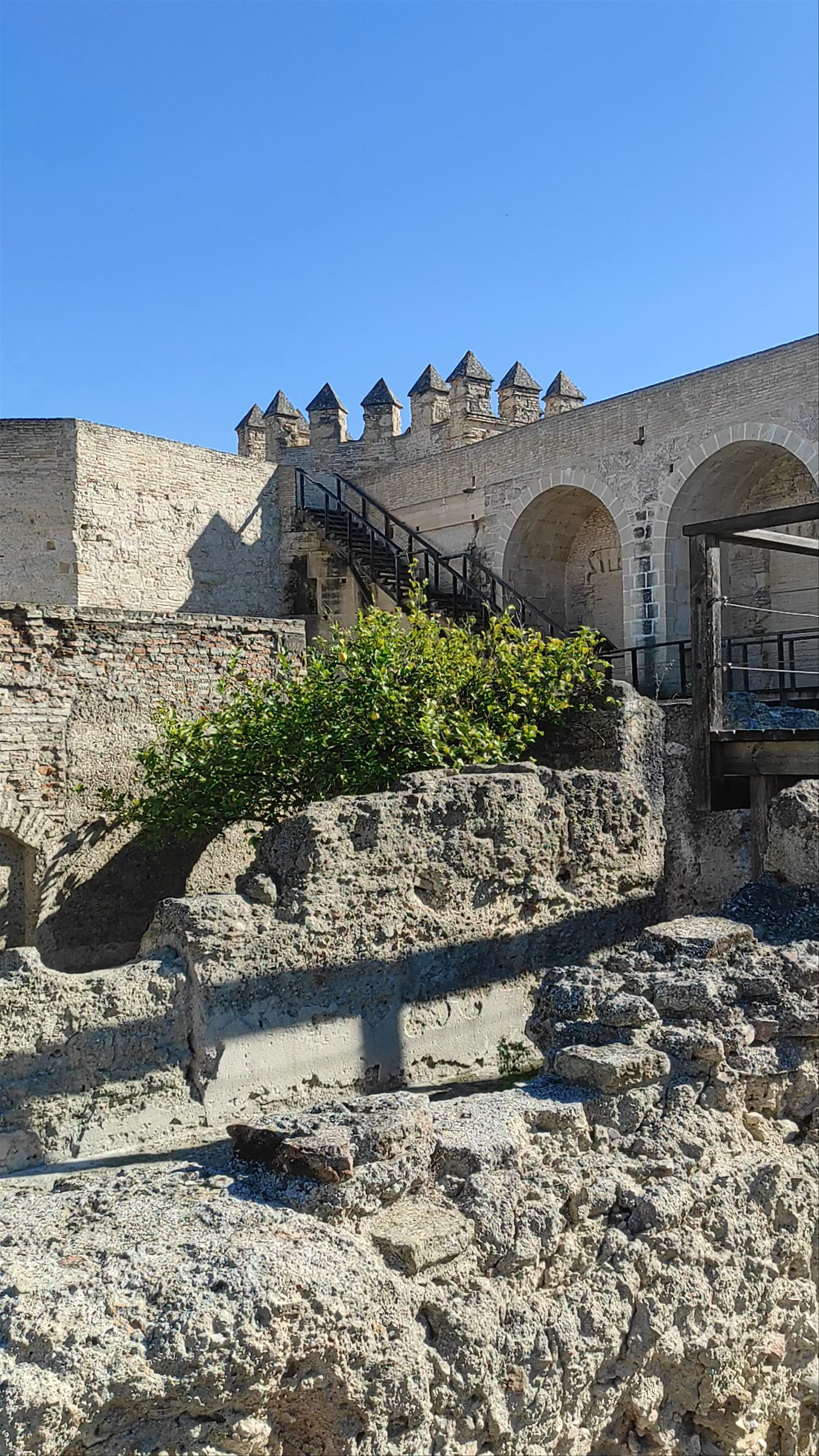 Exploring Alcázar of Jerez de la Frontera: Medieval Fortress and Gardens