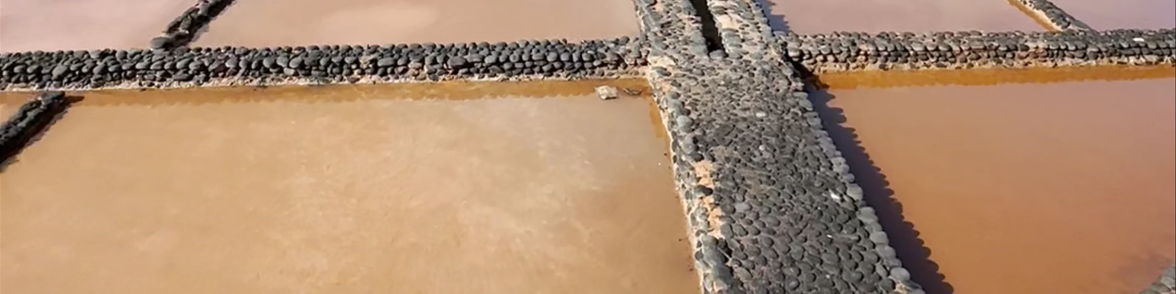 Salinas del carmen