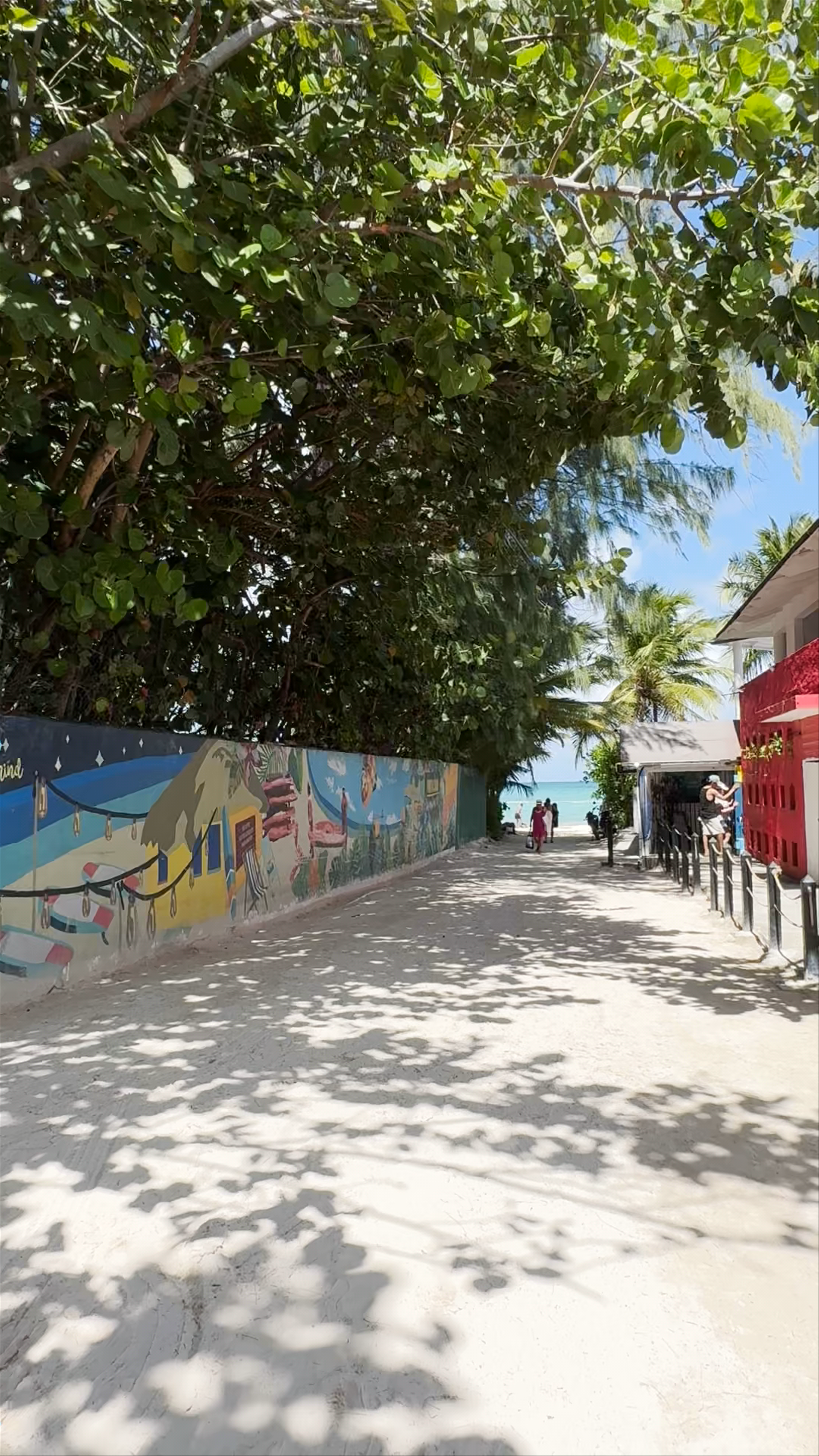Playa Bavaro Punta Cana