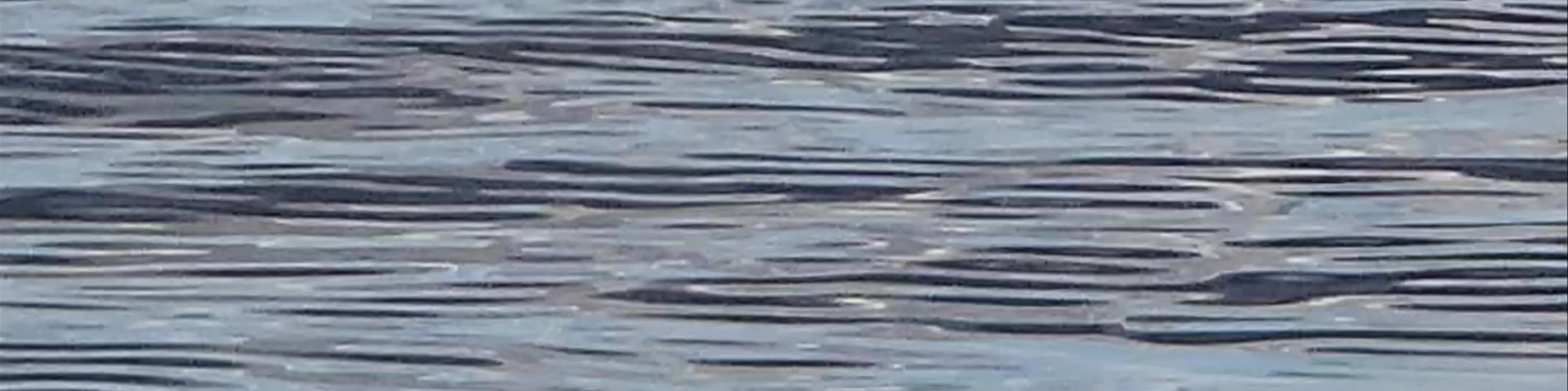 Lake Taupo