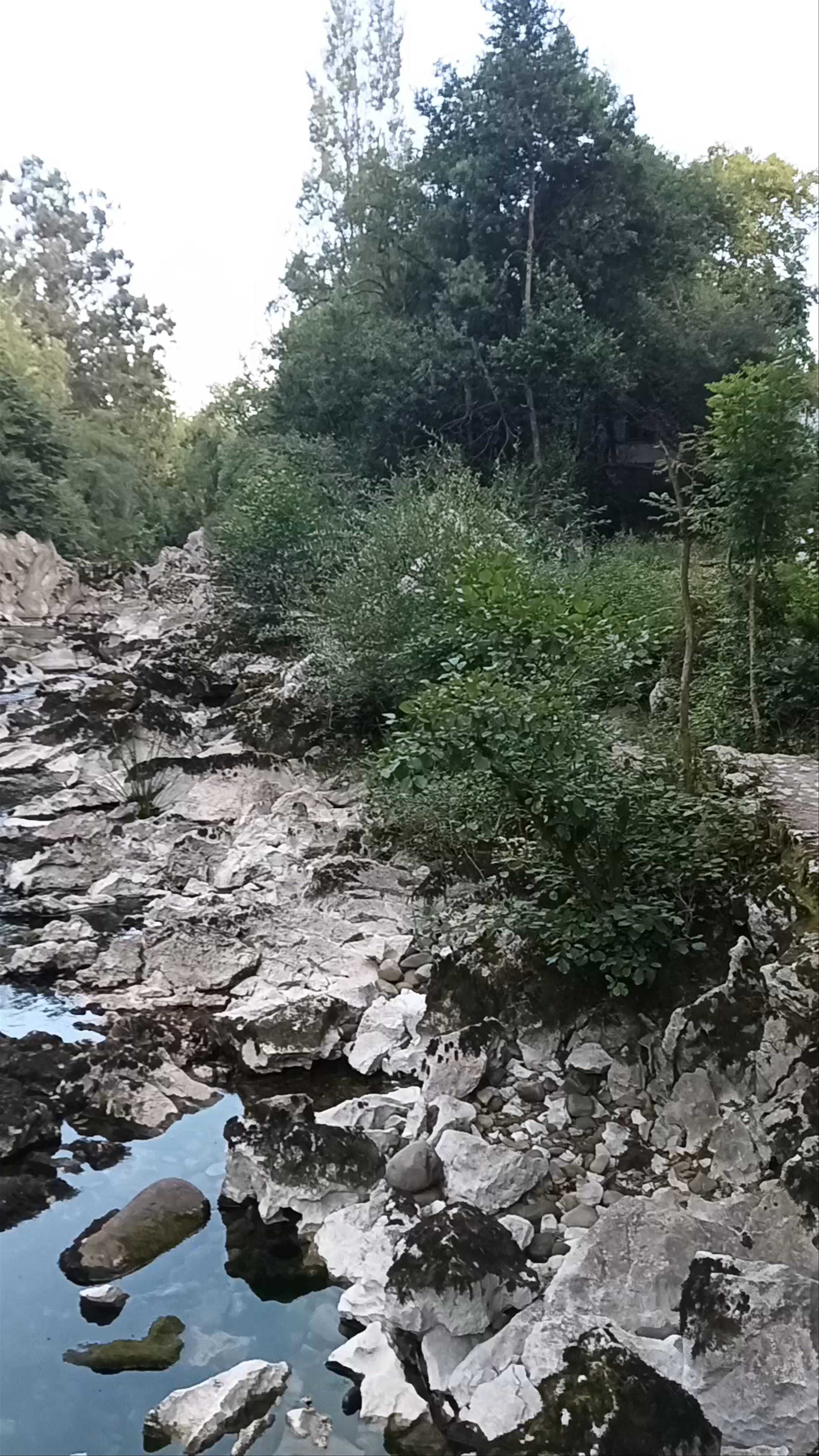 Aforo Río Pas Puente Viesgo