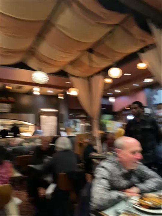 Revival Bar & Kitchen - Busy Saturday Night - New American Near Me - Berkeley, California