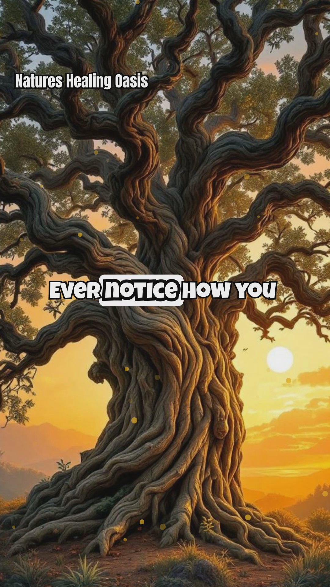 Ancient Tree Energy: Your Daily Healing Connection