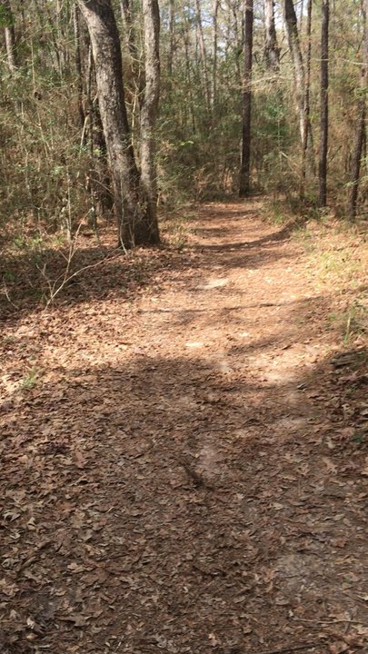 John Burge Park at Shadow Lakes - Parks Near Me - Conroe, Texas