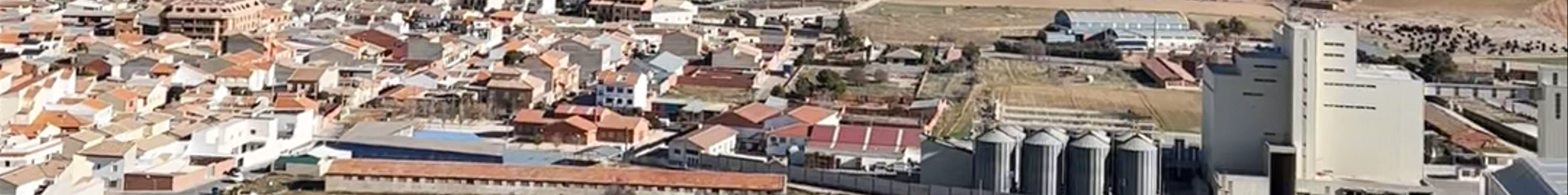 Tours & experiences in Consuegra