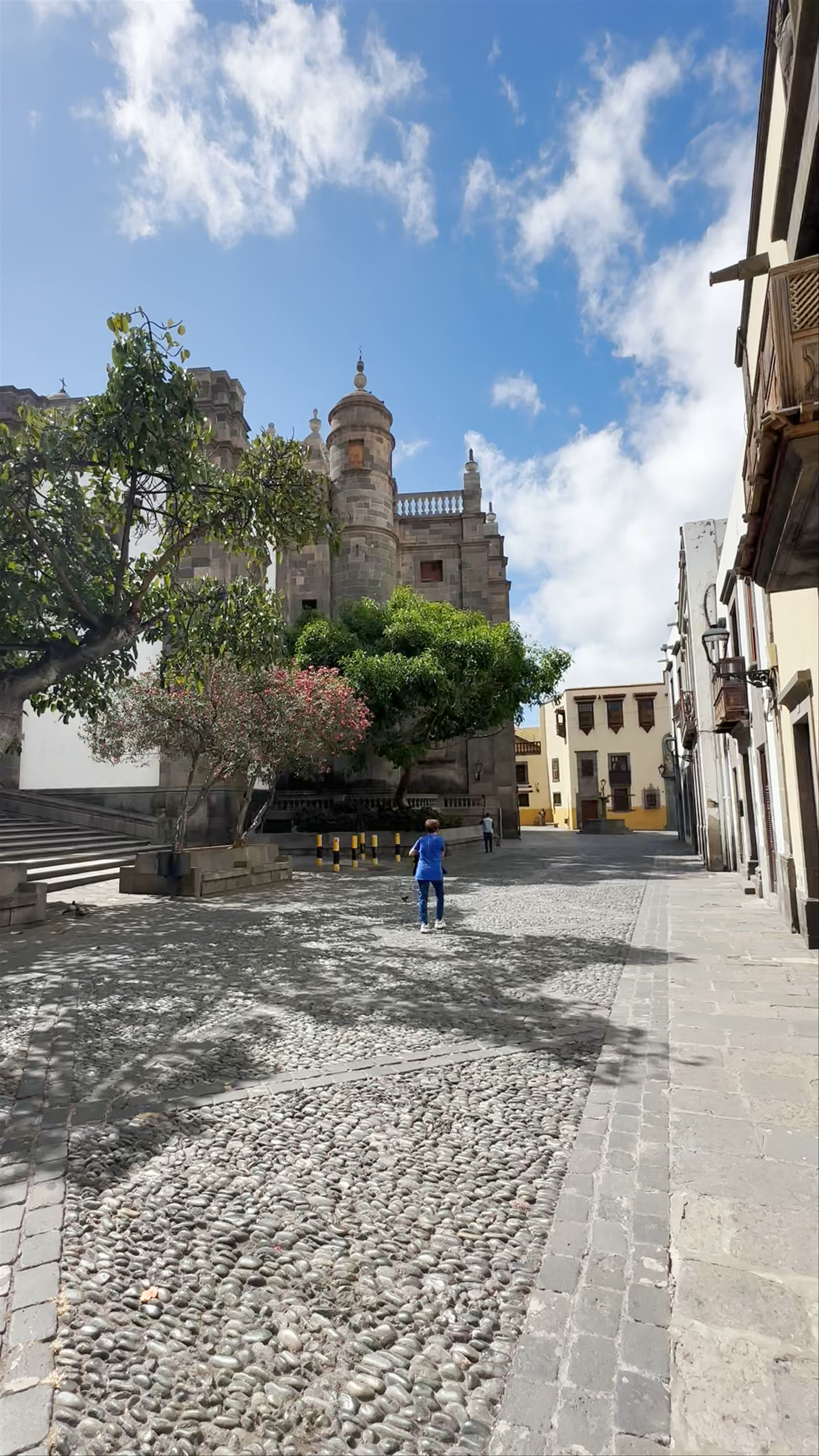 Catedral de Canarias: Historic Beauty in Las Palmas de Gran Canaria