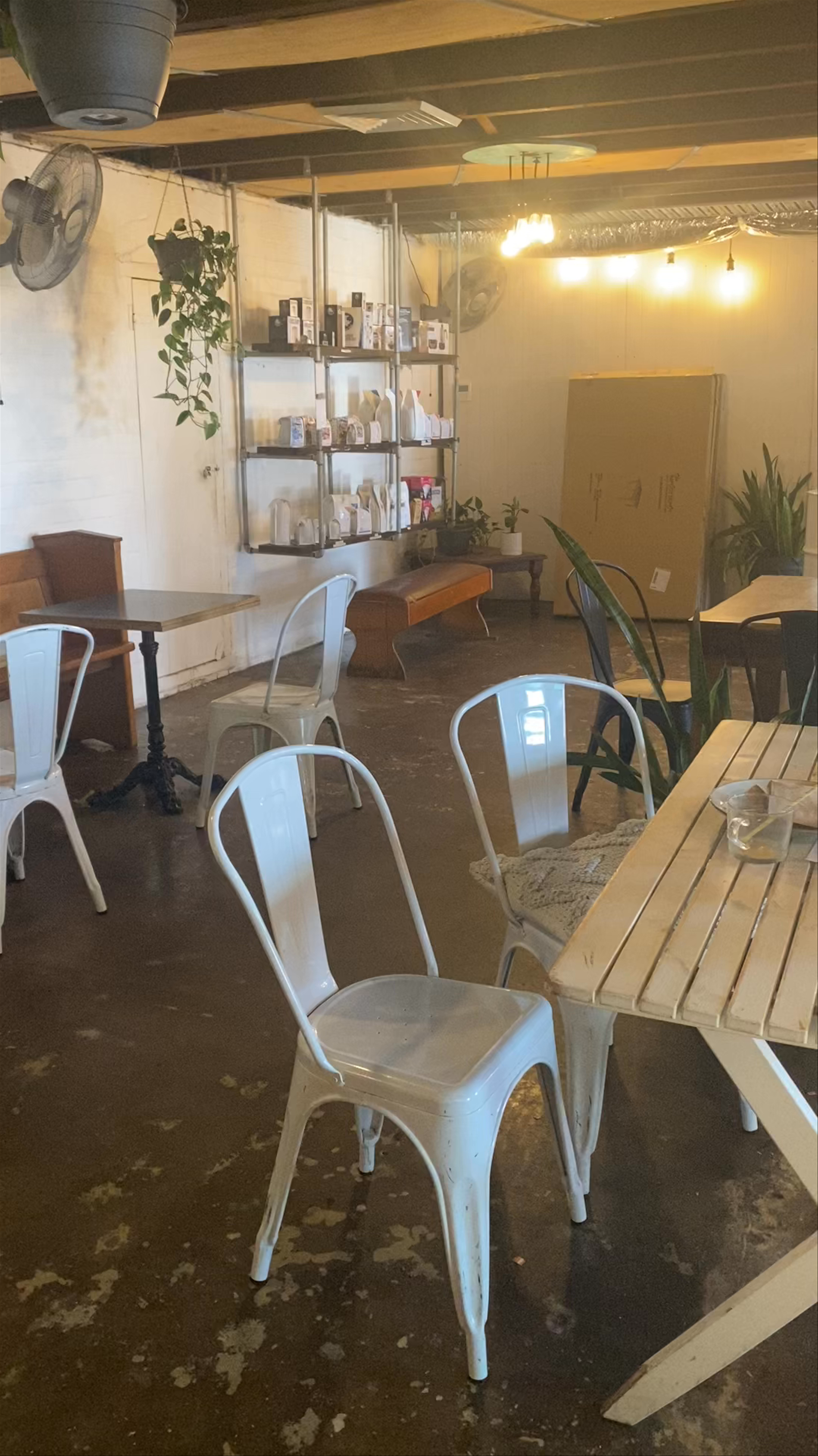 Glee Coffee Roasters Chapman