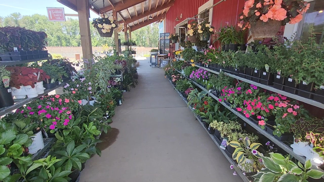 Frog Hollow Farm - Come inside to the amsing shop! 5.31.26 - Nurseries & Gardening Near Me - Walla Walla, Washington