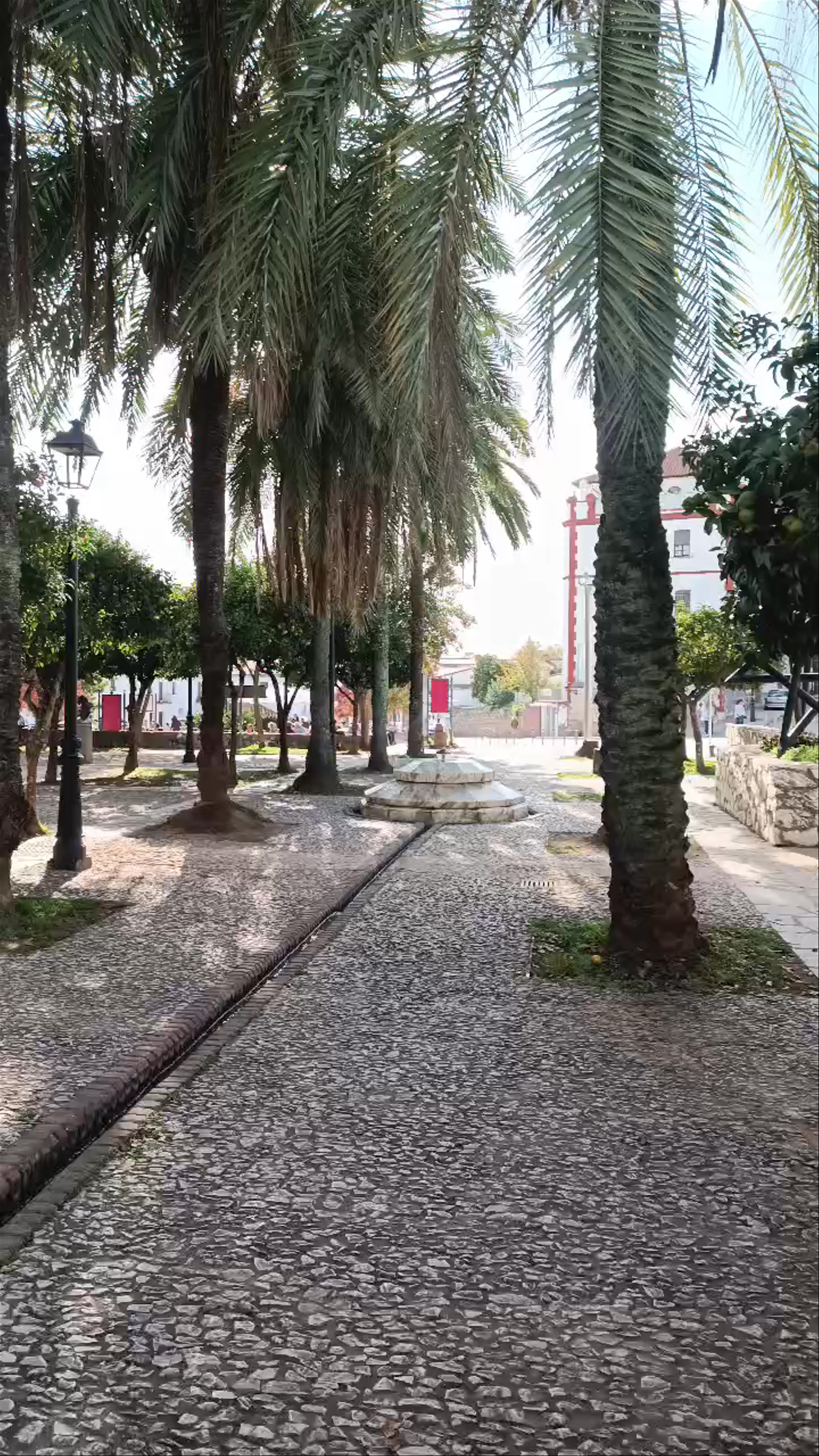 Plaza de San Pedro