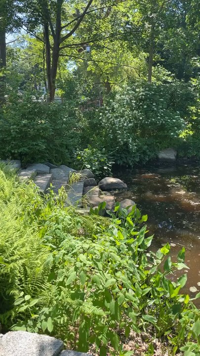 Millbrook Meadow - Playgrounds Near Me - Rockport, Massachusetts