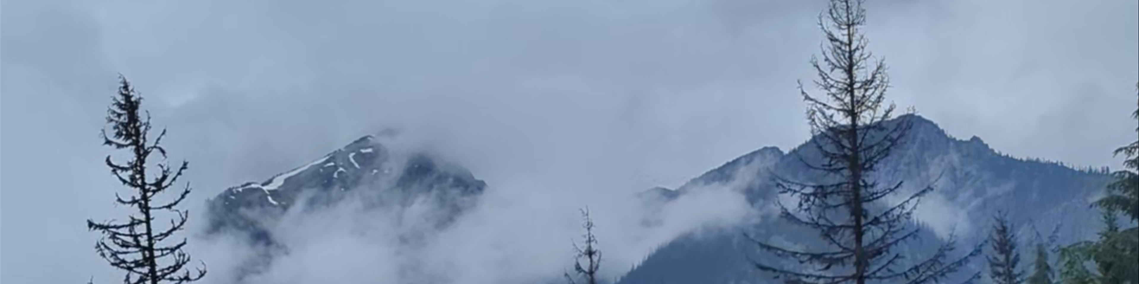 Revelstoke