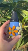 Small image 4