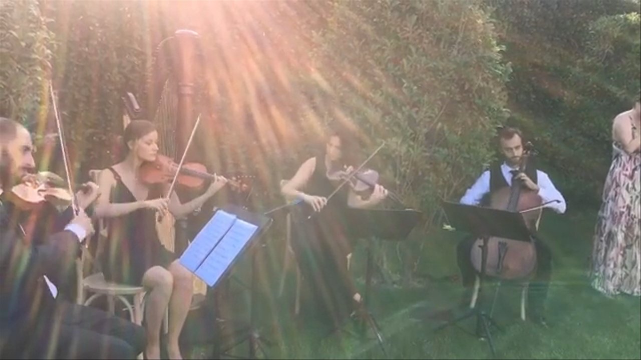 The Milan String Group - Thinking Out Loud - video 5