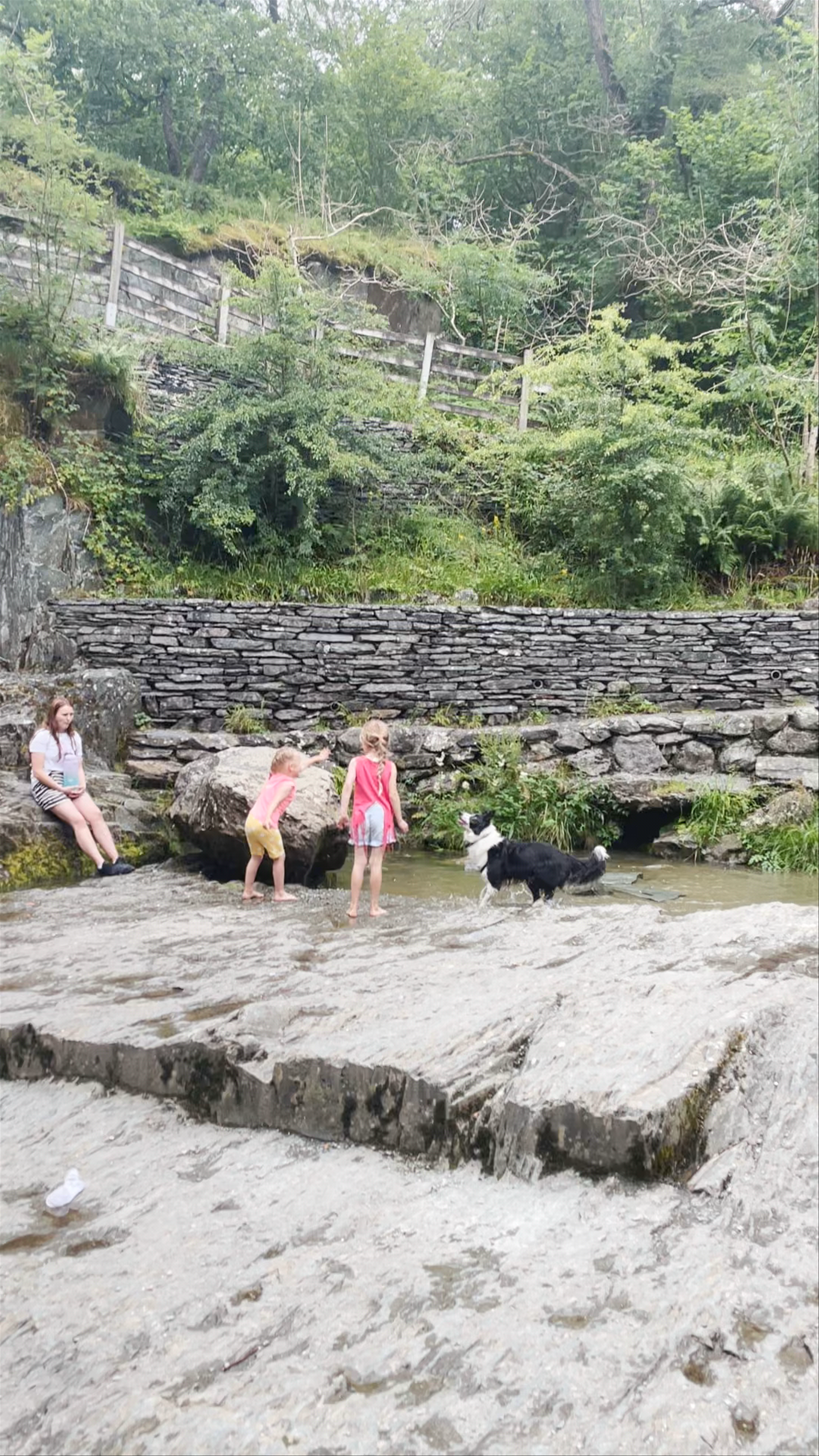Playful Moments in Baxenghyll Gorge, Carnforth