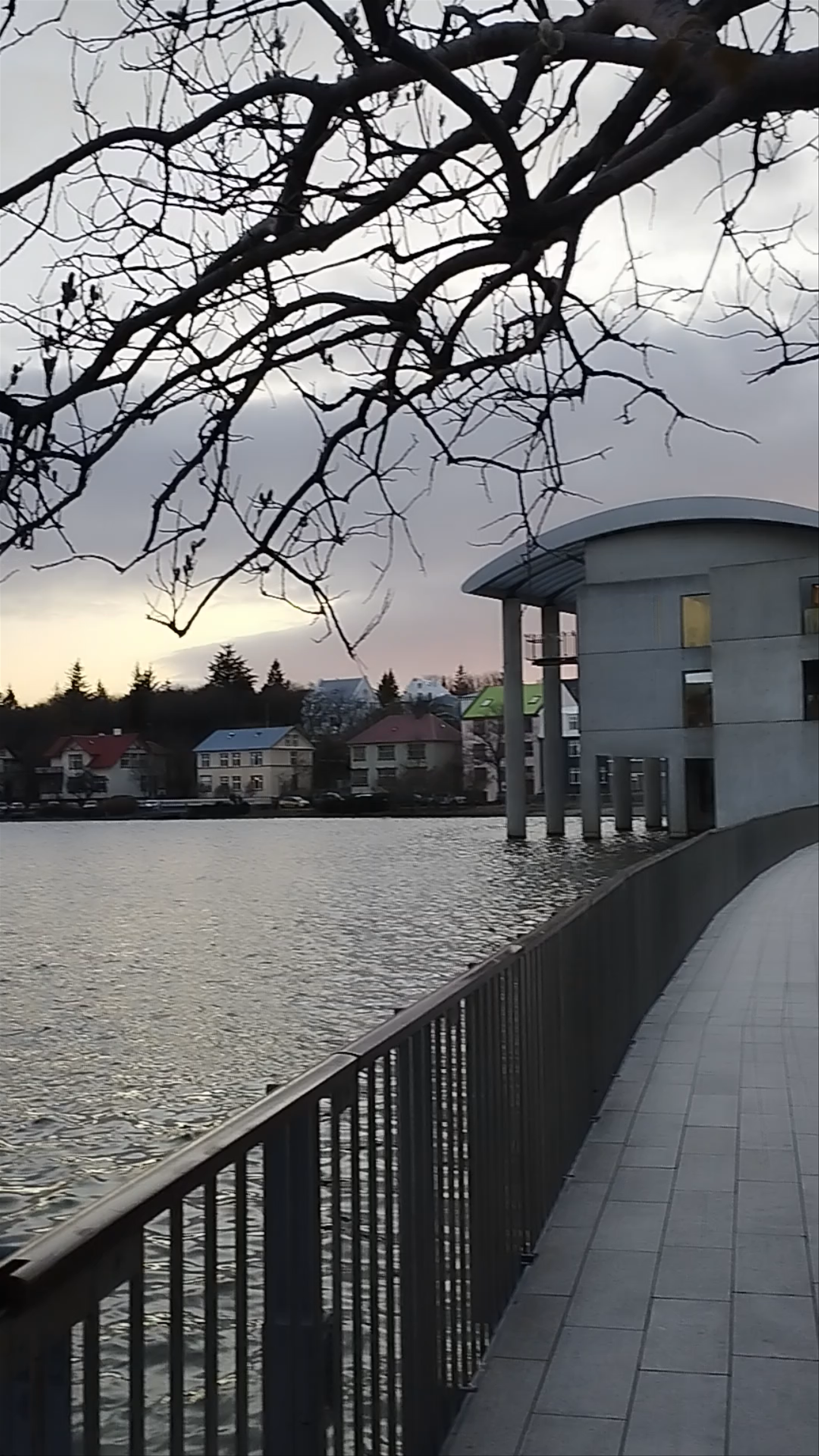 The Unknown Bureaucrat - Magnus Thomasson, Reykjavík, Iceland