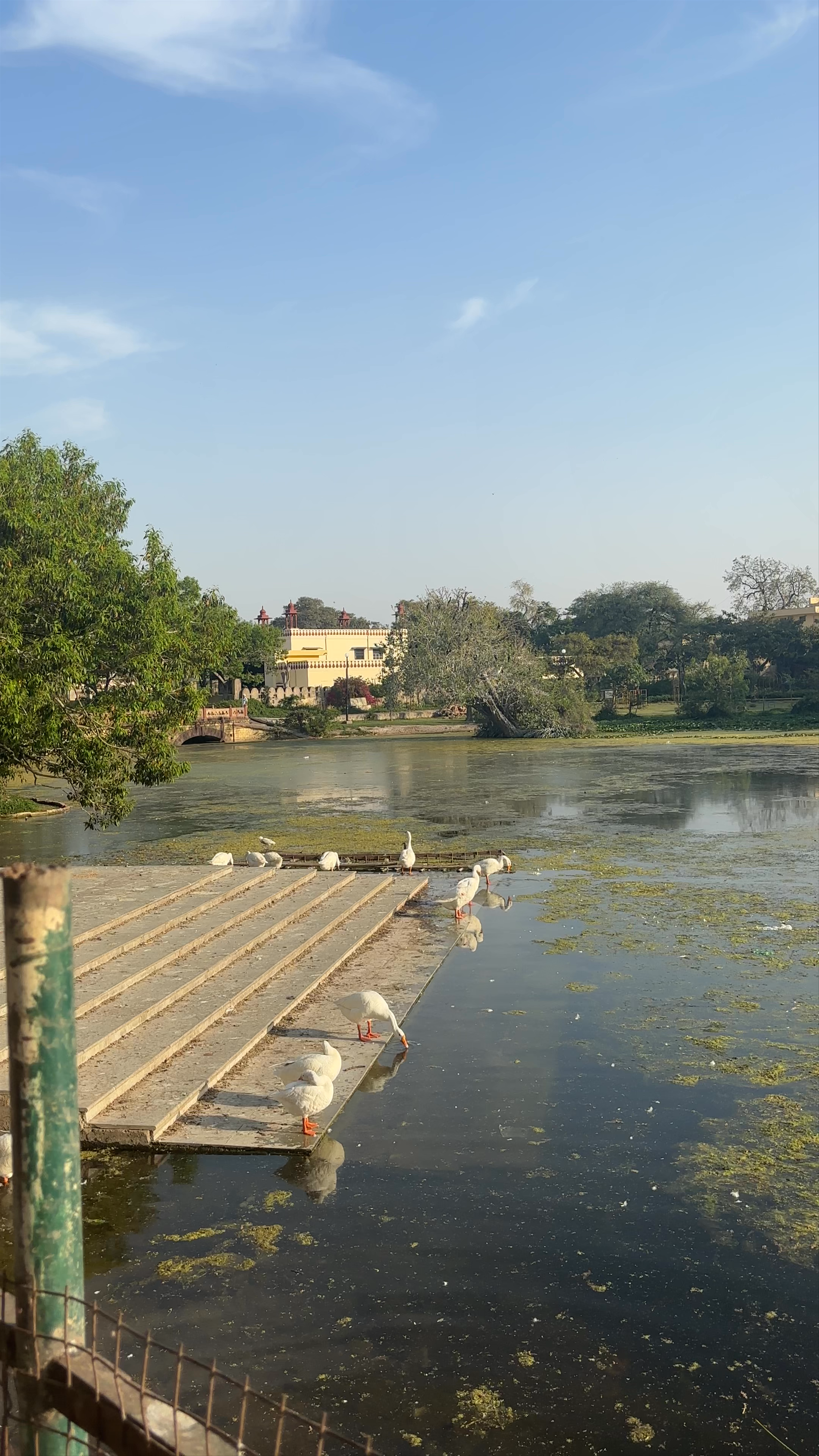 C V Garden