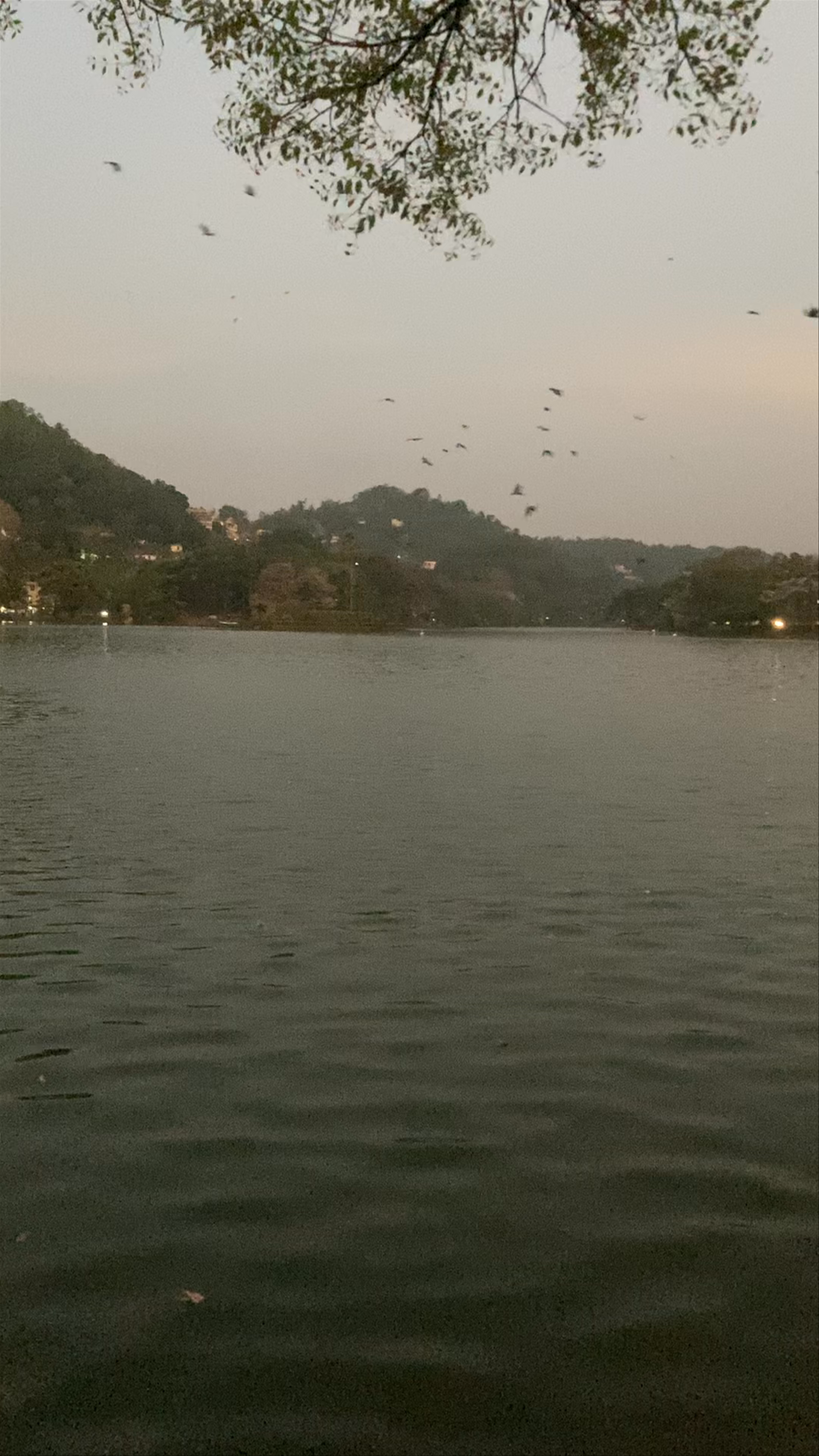 Kandy Lake Tranquility at Dusk