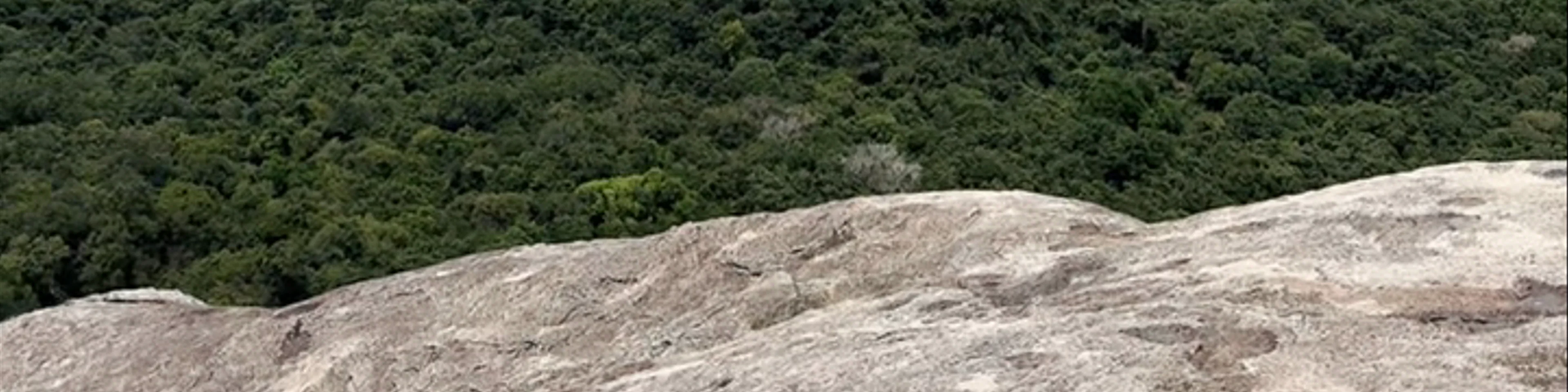 Ella Rock Trailhead