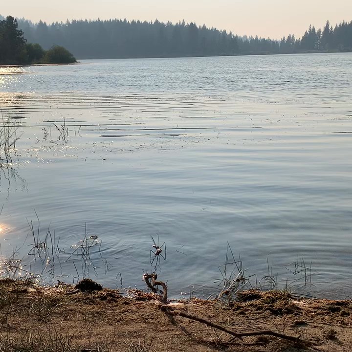 Video thumbnail 5 more videos