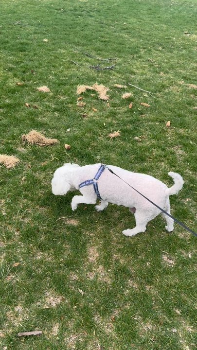 MaxFund - Animal Shelters Near Me - Denver, Colorado