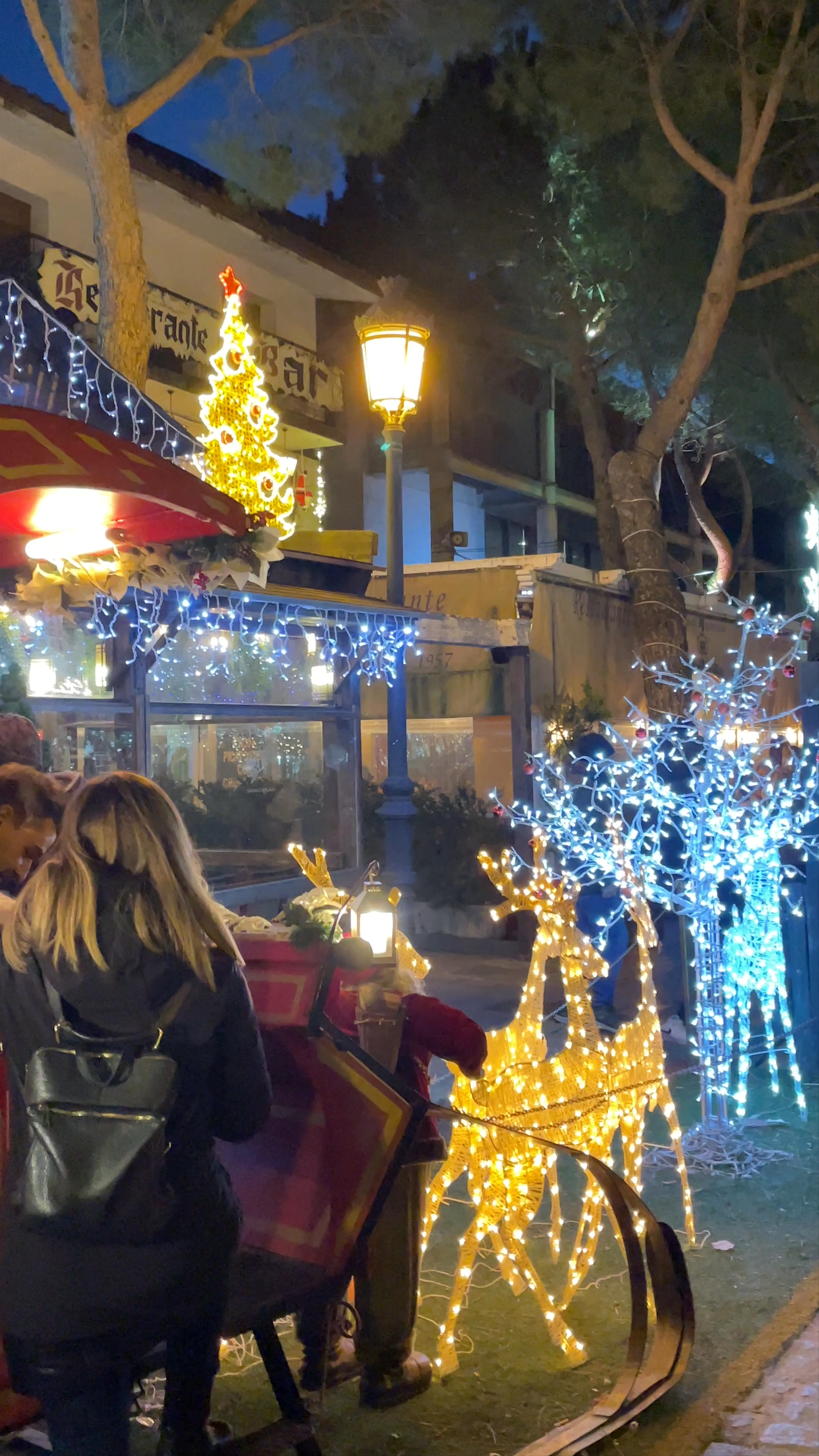 Restaurante el Portillón