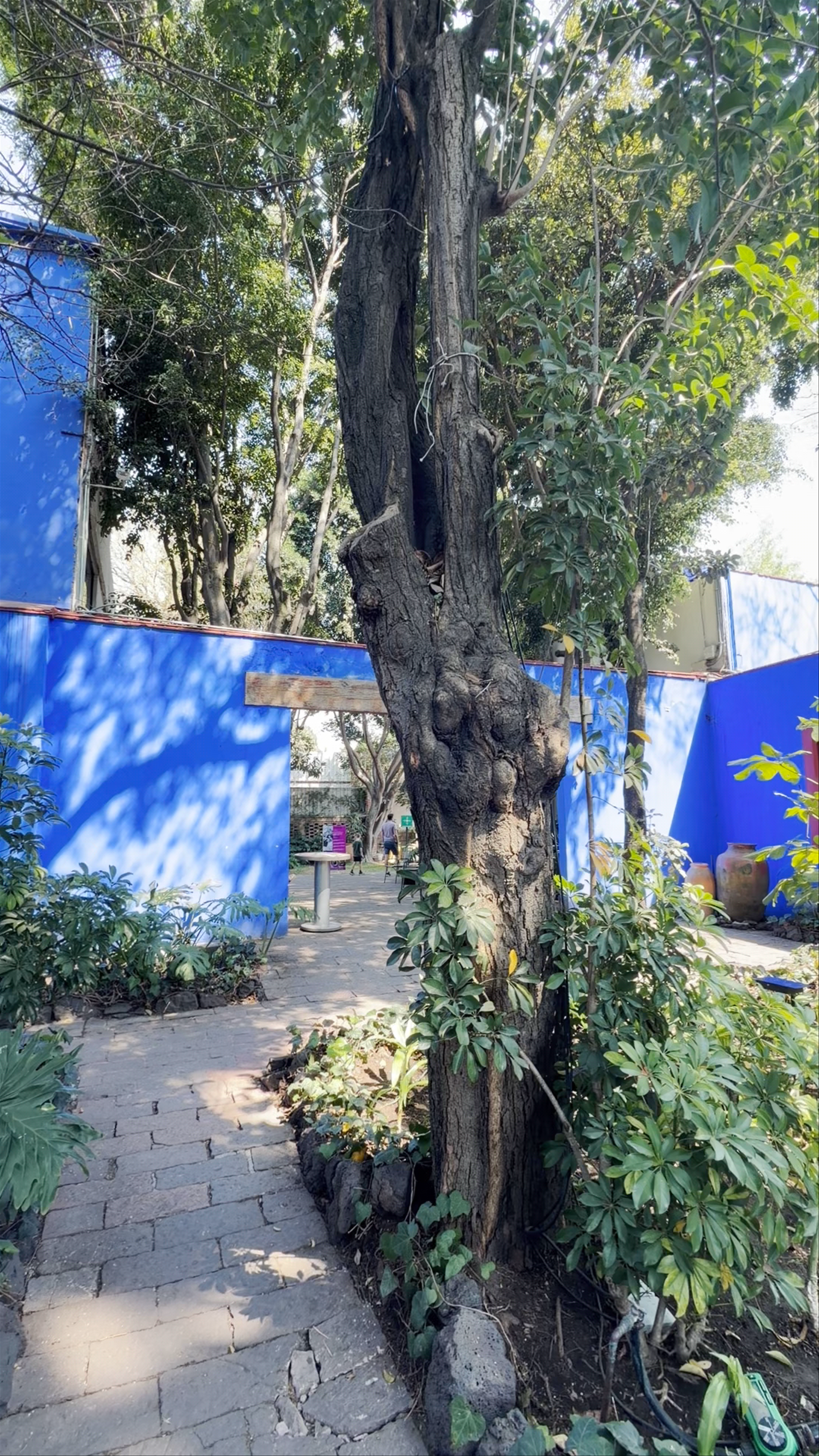 Museo Frida Kahlo