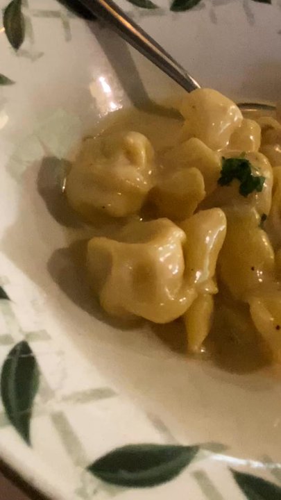Stefano's - Fiocchi di Catheren - (appetizer portion) Pear & ricotta pasta purses in cream sauce - Italian Near Me - Seminole, Florida