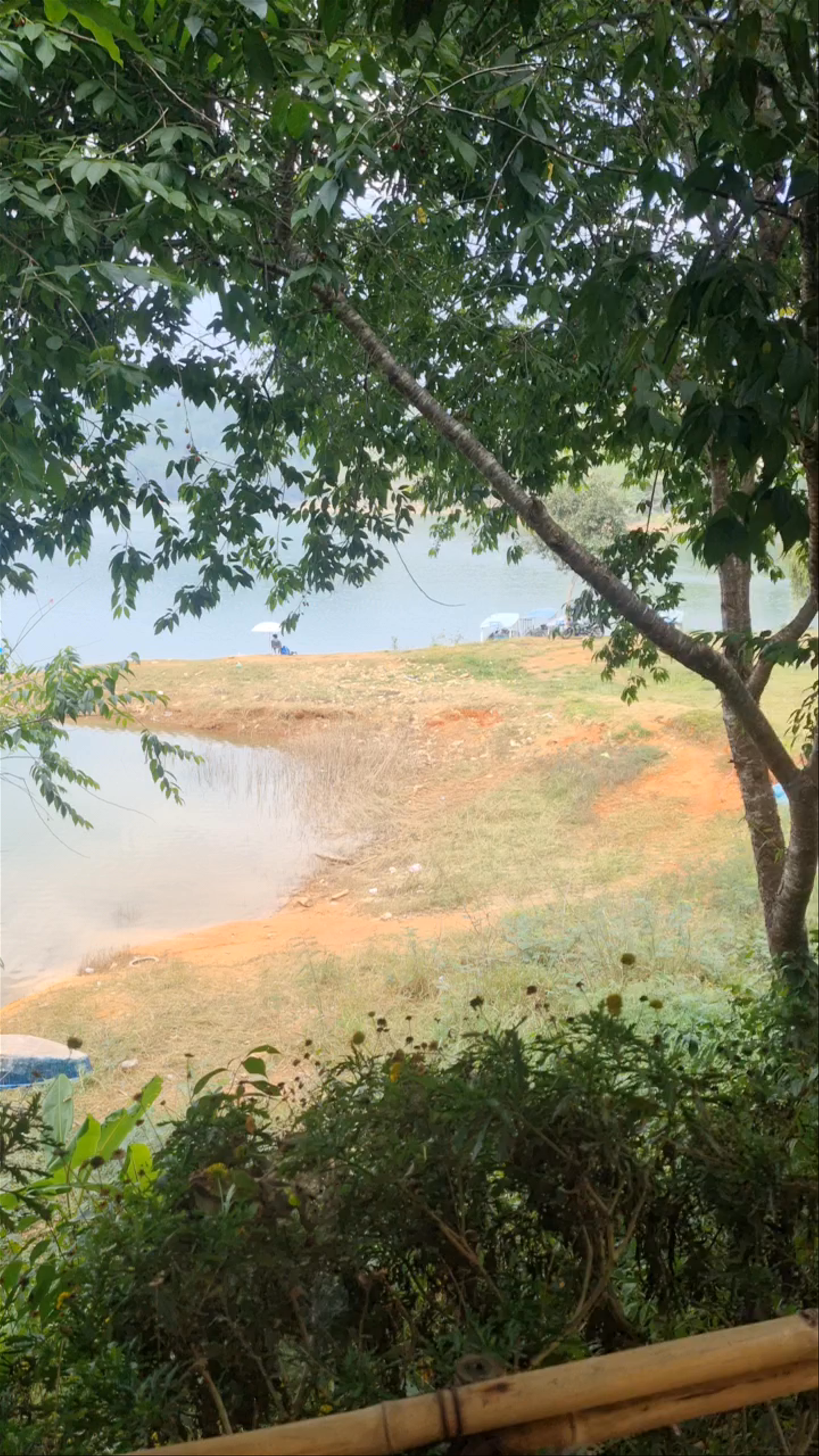 Thùy Dương Family Restaurant