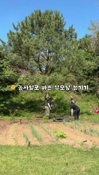 크리에이터 숏폼 영상