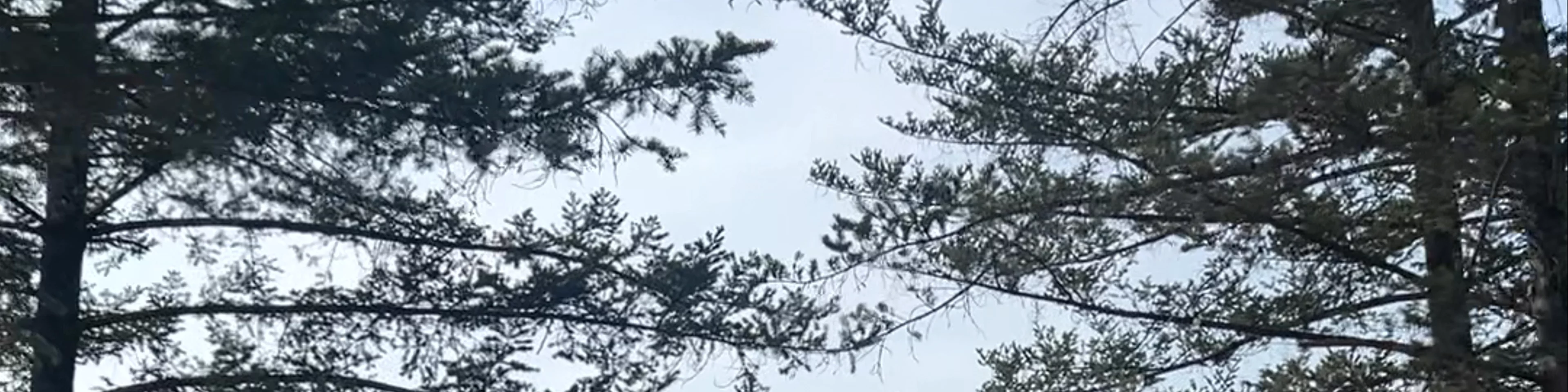 Nami Island