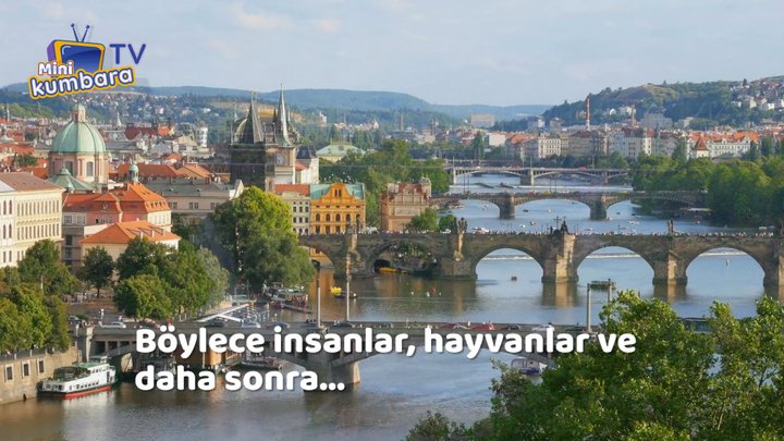 thumbnail Videolu Konular