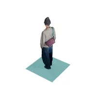 Goose (Large) 3D scan