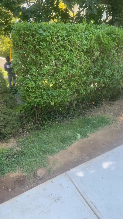 Alonzo Landscaping - Landscaping Near Me