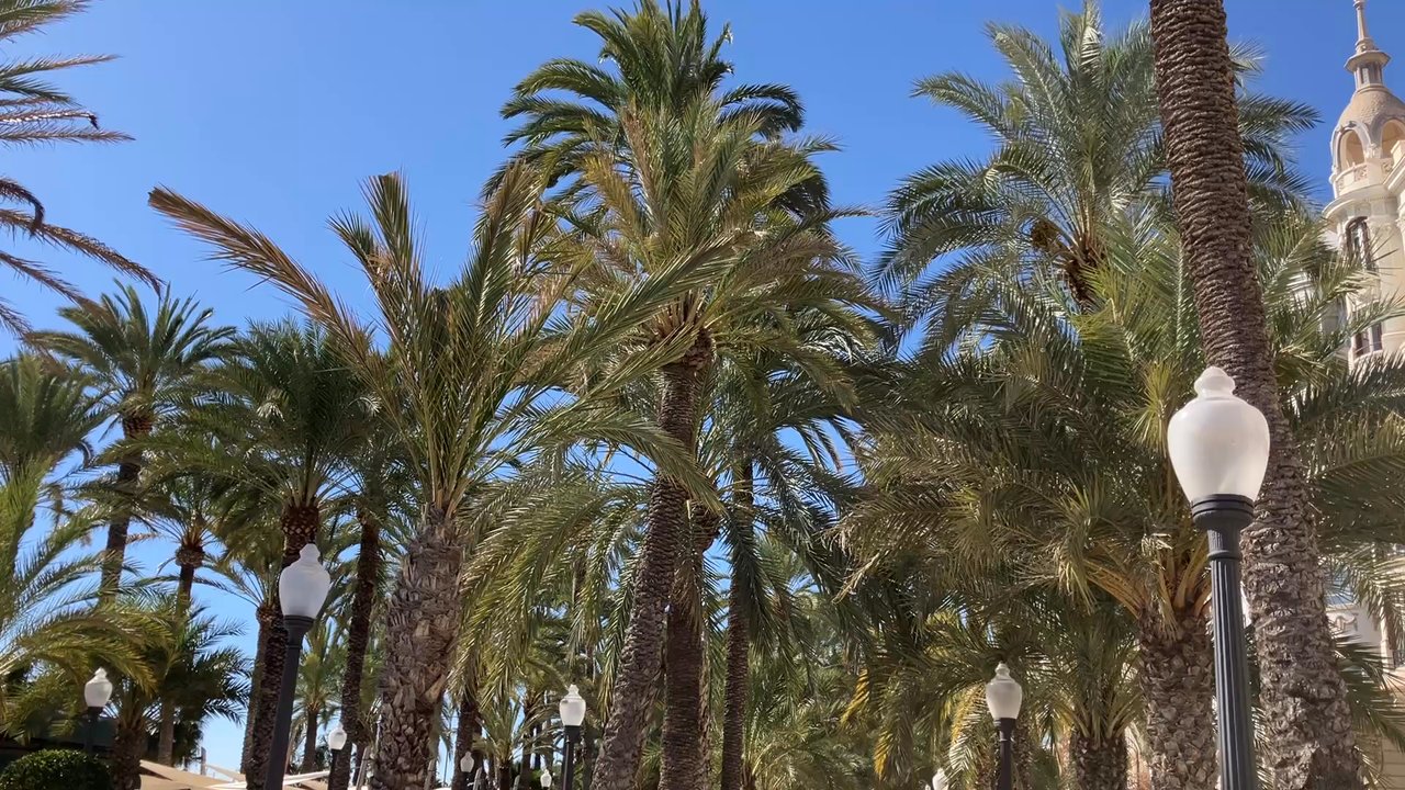 Casa Carbonell - Landmarks & Historical Buildings Near Me - Alacant, A
