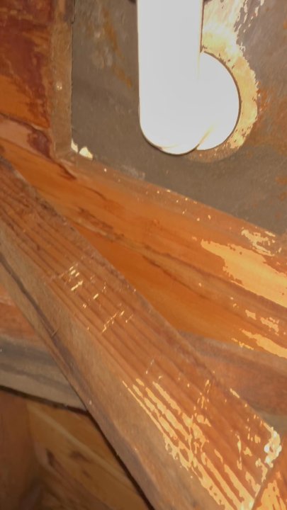 Challenge Rooter - Leaking stems because of poor insulation - Plumbing Near Me - Oakland, California