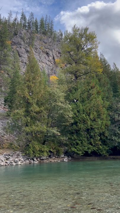Lake Chelan Boat - Saw a bald eagle. Pretty cool - Boating Near Me - Chelan, Washington