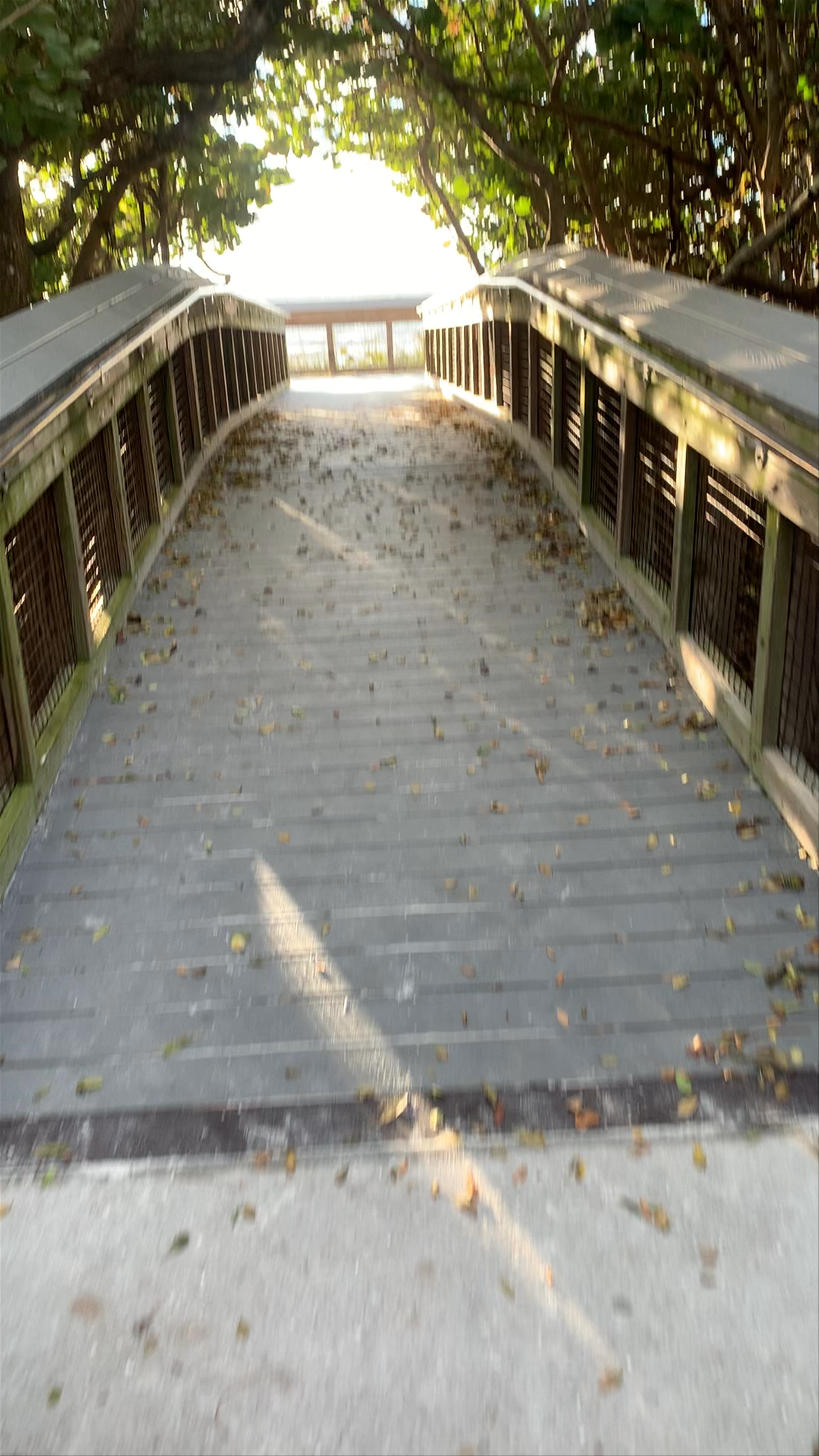 Wiggins Pass Beach 1