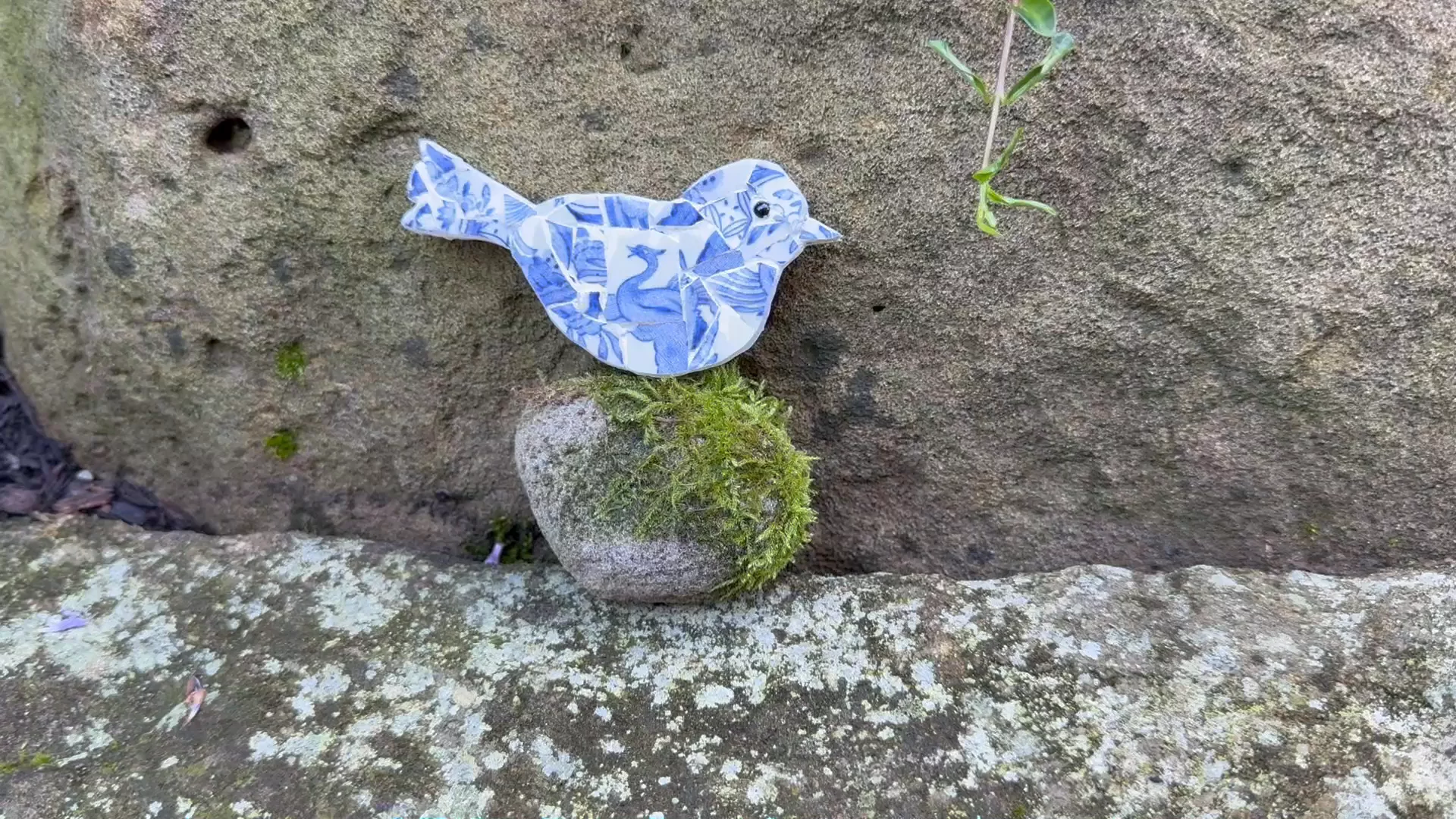 Preview image for video