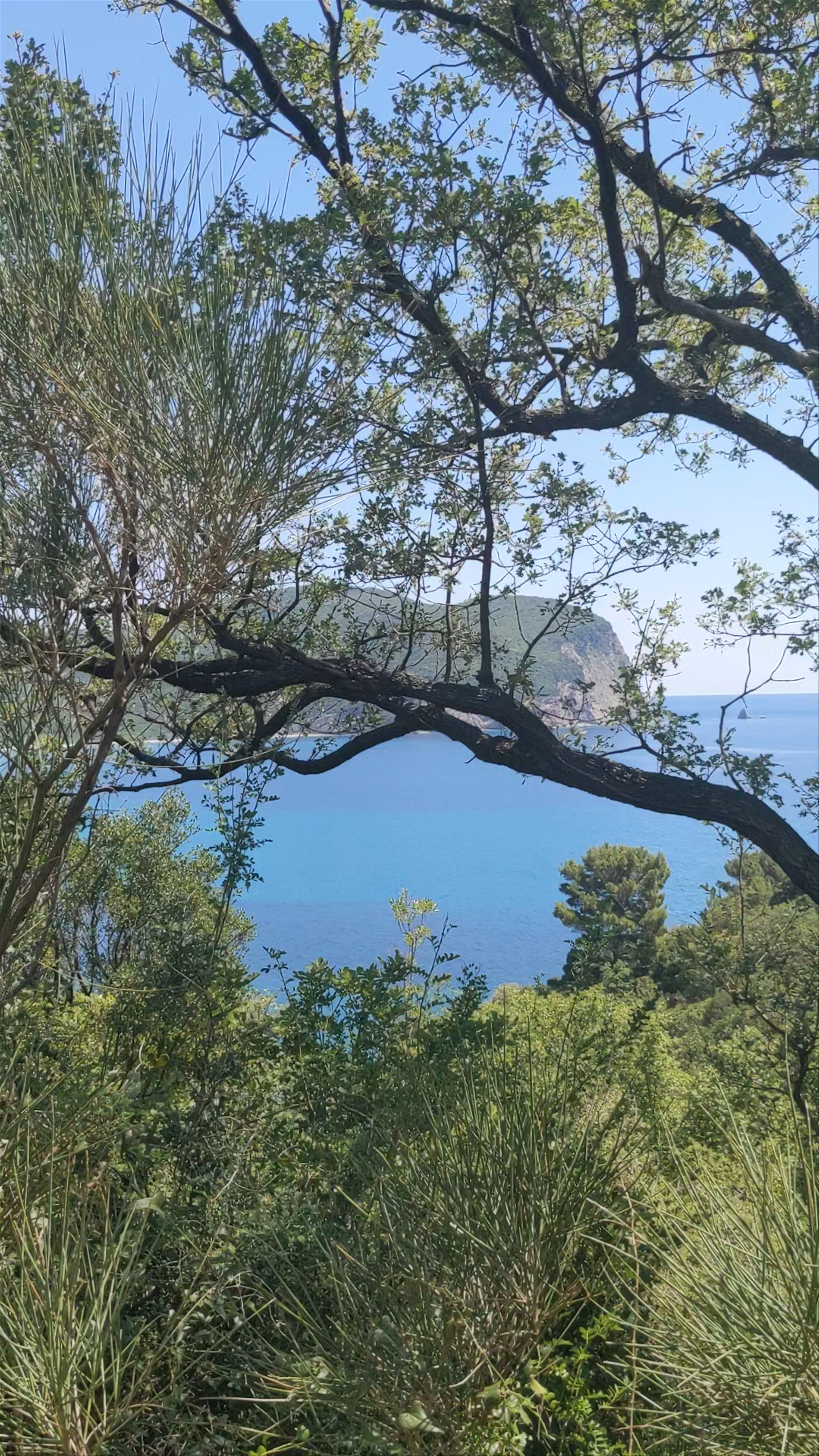 Hiking Trail Luchice - Buljarica