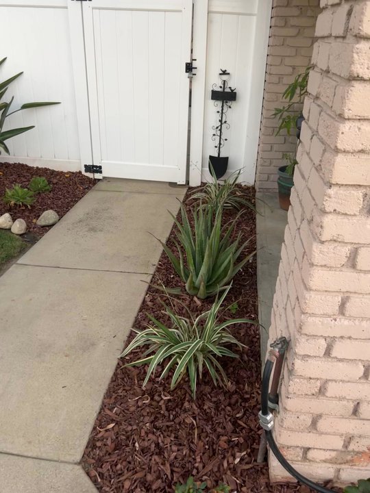 Rocha Landscaping - Snap shot of what Danny and his guys redid for me. - Tree Services Near Me - Chino, California