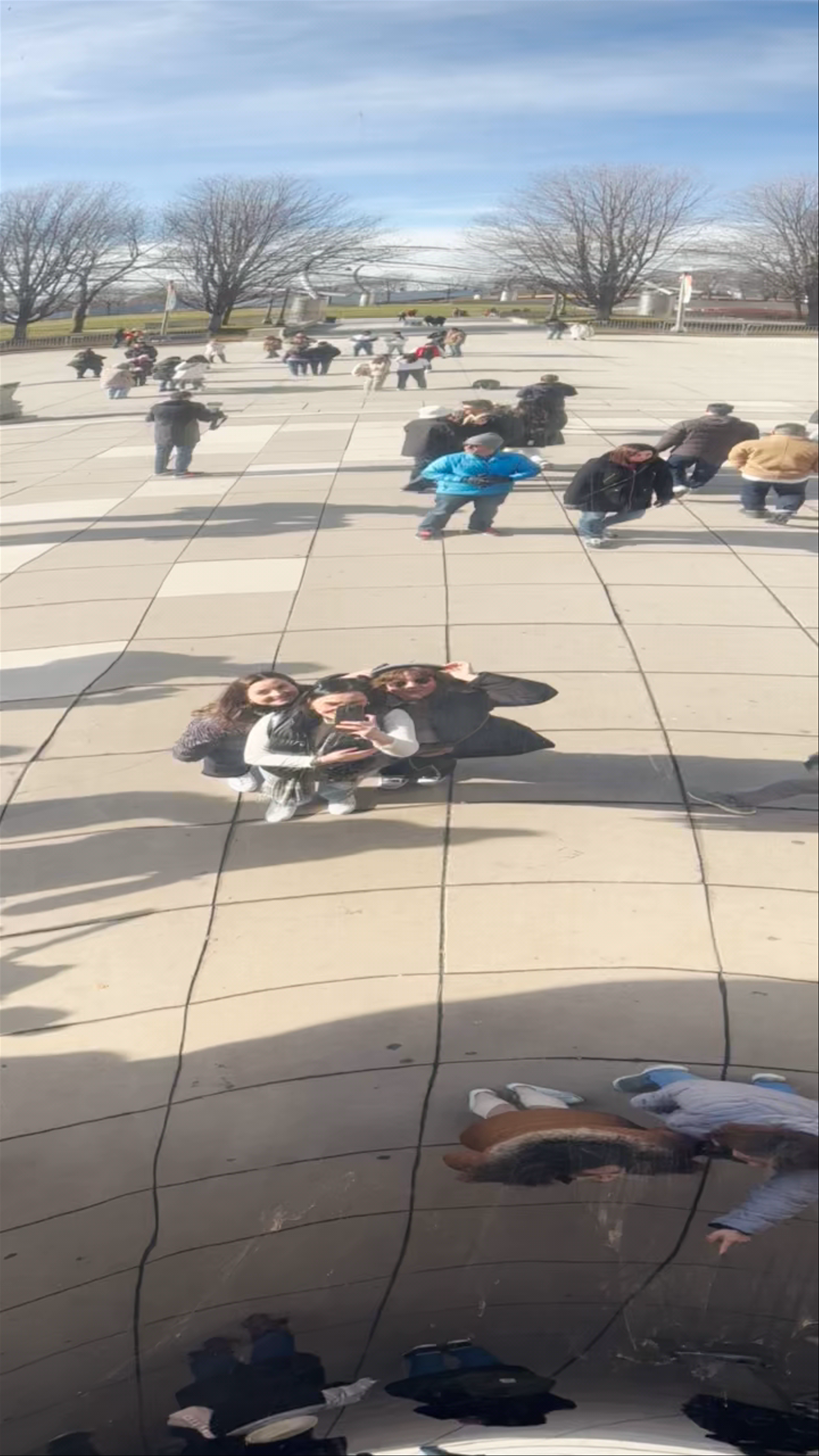 The Bean