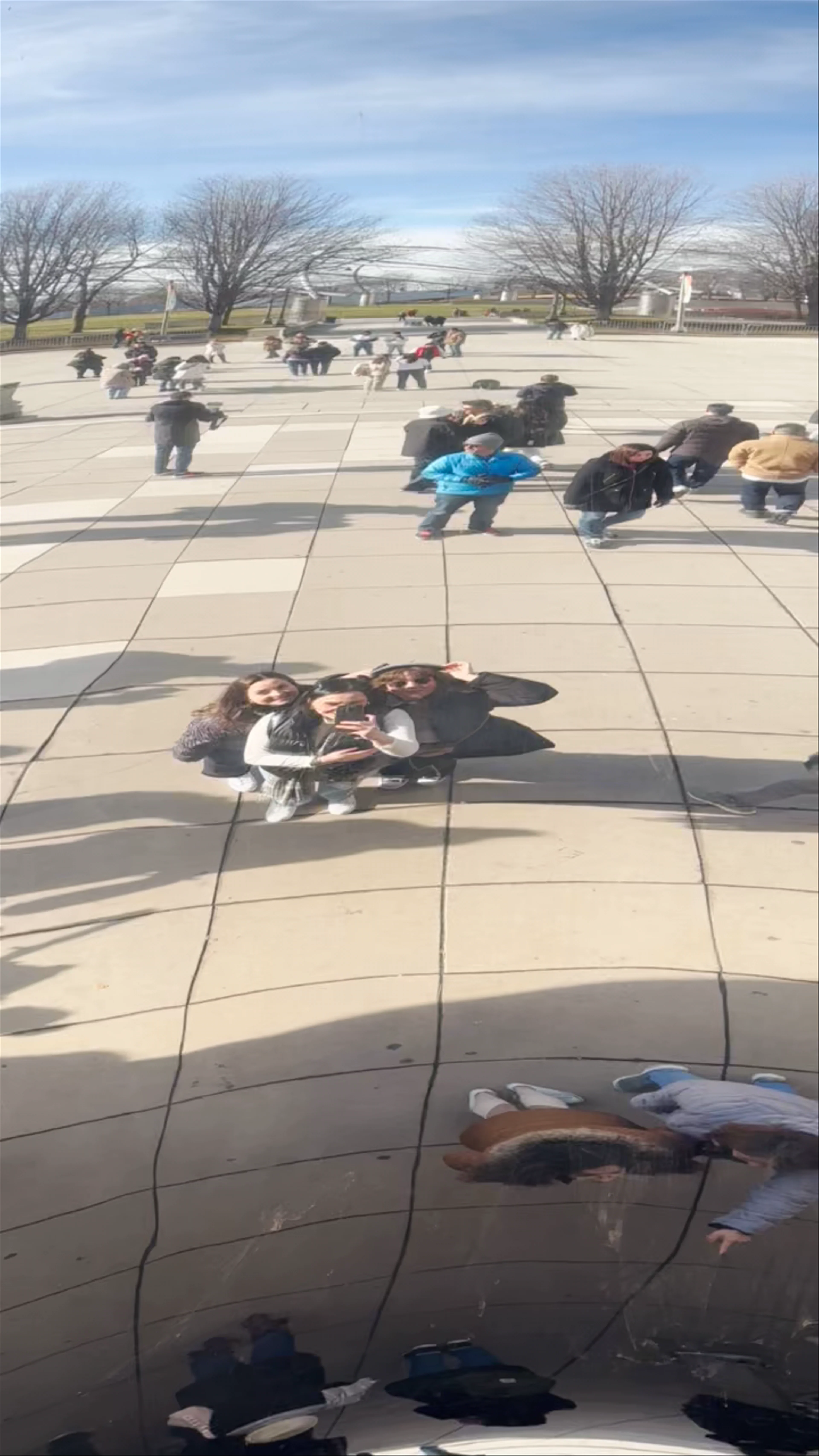 Cloud Gate (The Bean)