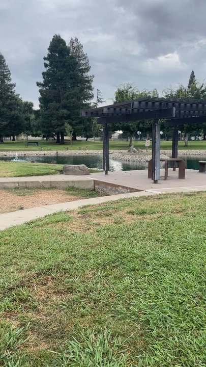 Panella Park - Colin Scott and Sue christy have to step up their performance because right now they're doing a BAD JOB! - Parks Near Me - Stockton, California