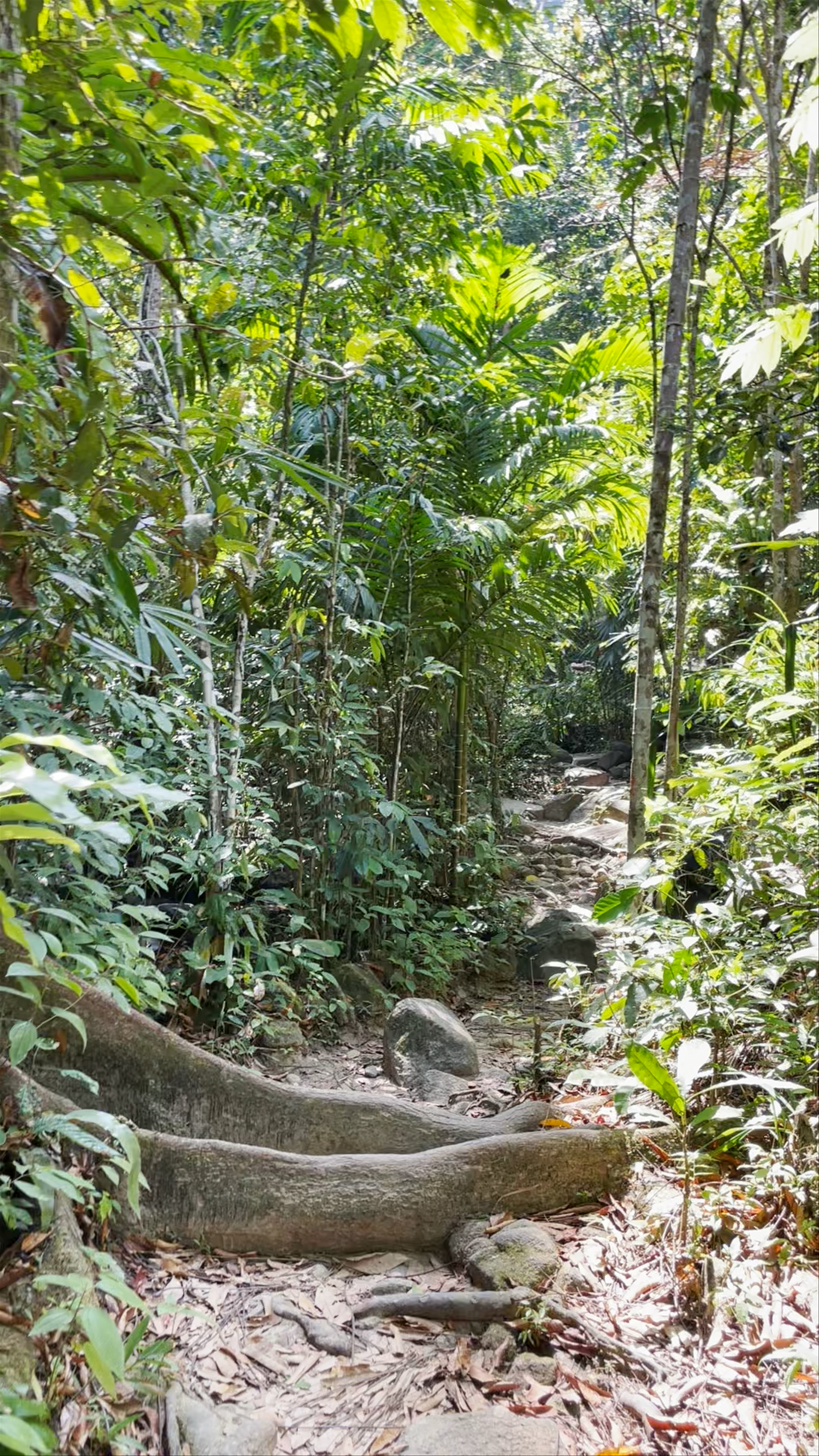 Sai Rung Waterfall