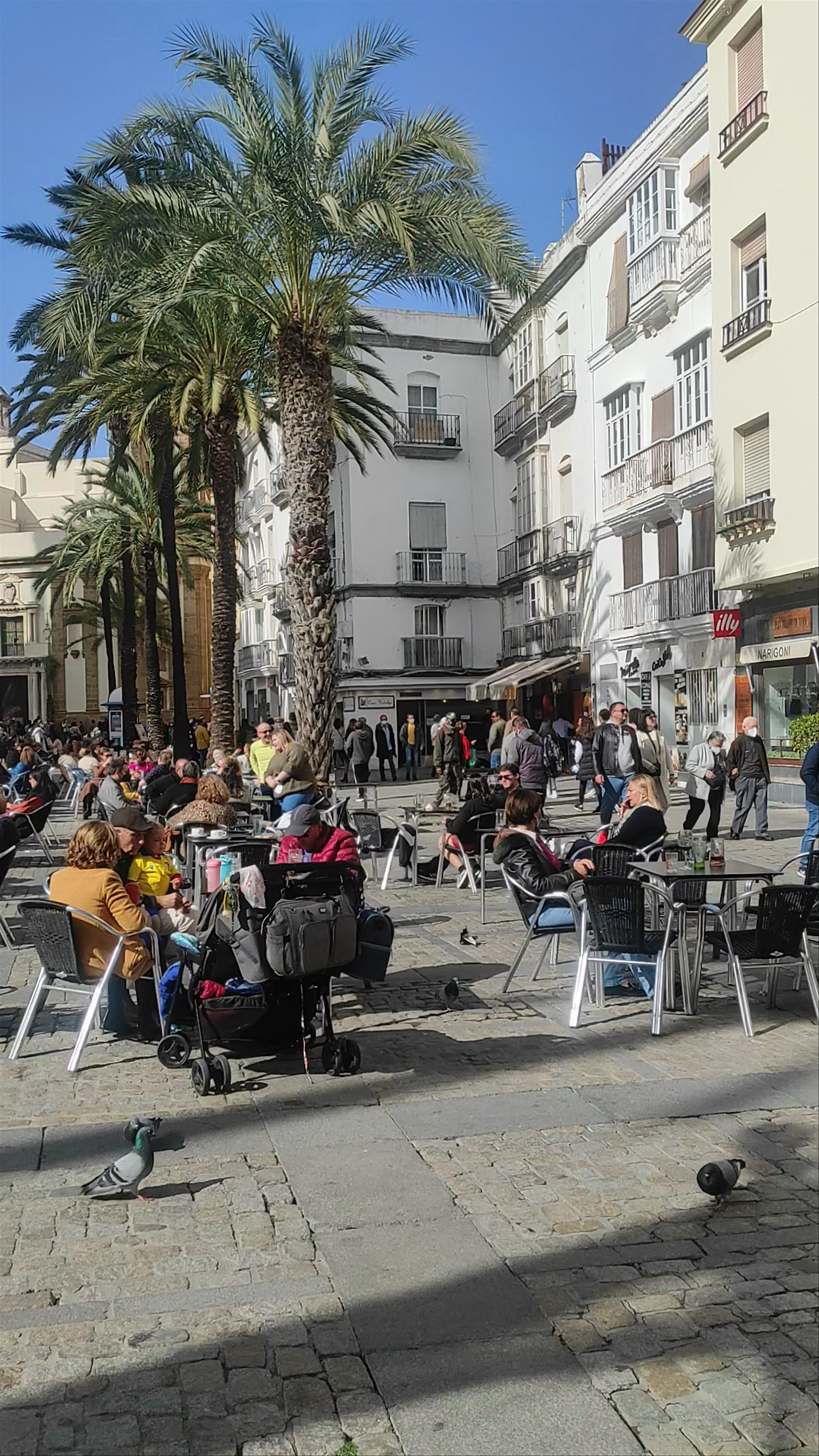 Sunny Afternoon Vibes at Cádiz Cathedral Plaza, Andalucía