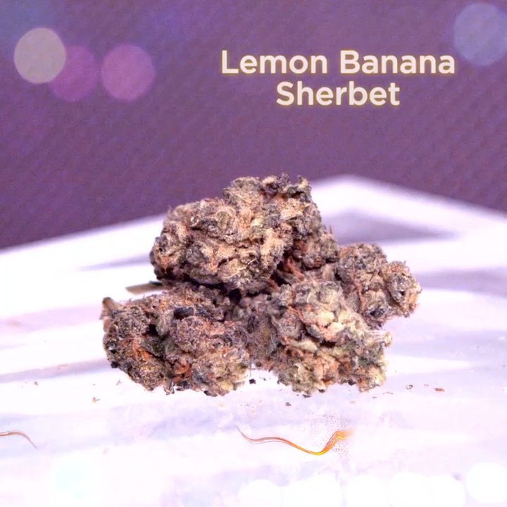 Silver State Relief - Lemon Banana Sherbet - Cannabis Dispensaries Near Me - Sparks, Nevada