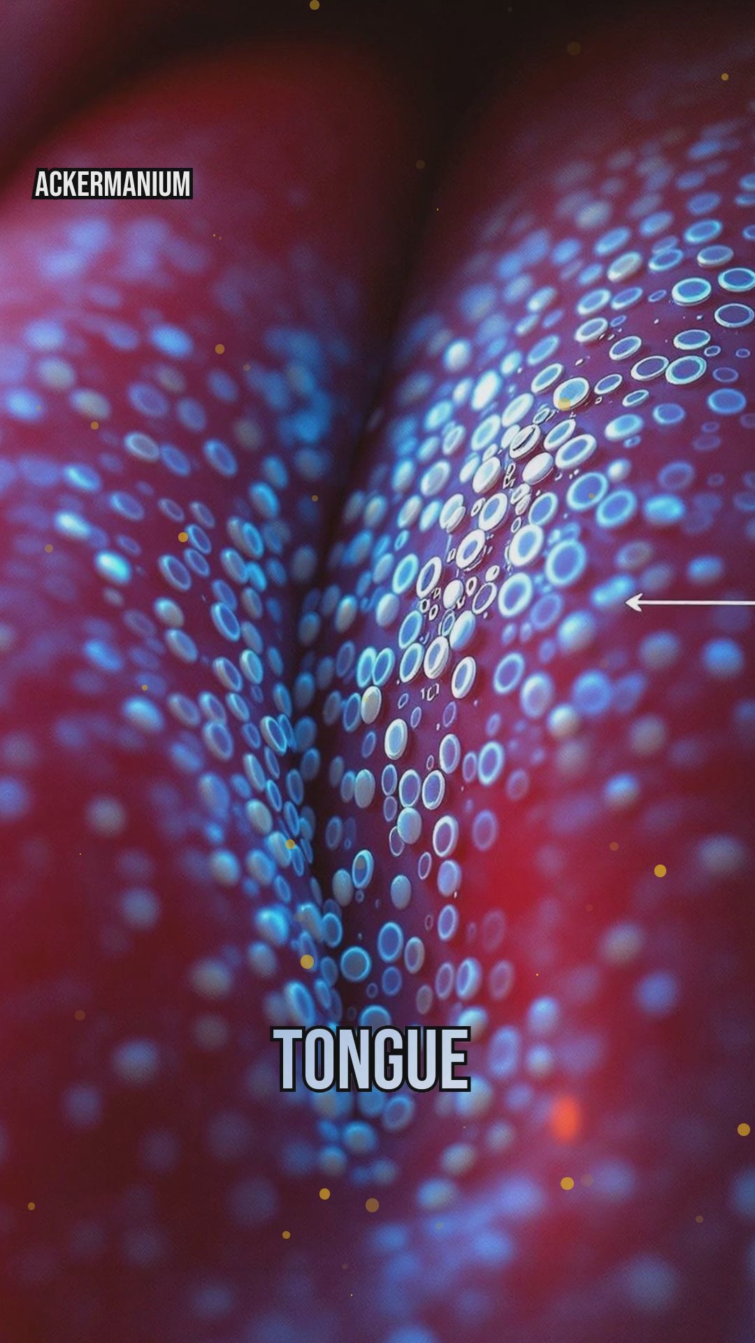 The Chemistry of Taste: How Flavor Molecules Trick Your Tongue