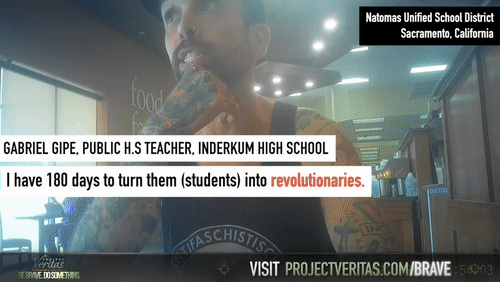 Video Thumbnail Loop