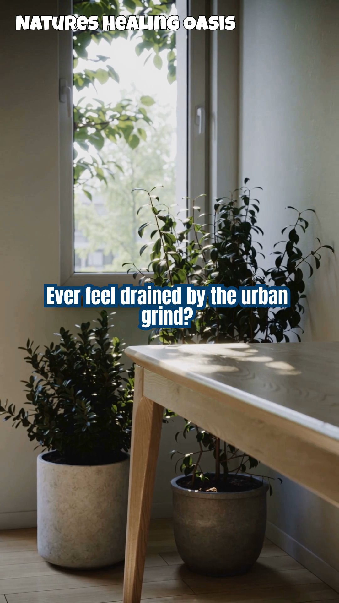 Crafting a Personal Tree Altar for Everyday Energy Rituals